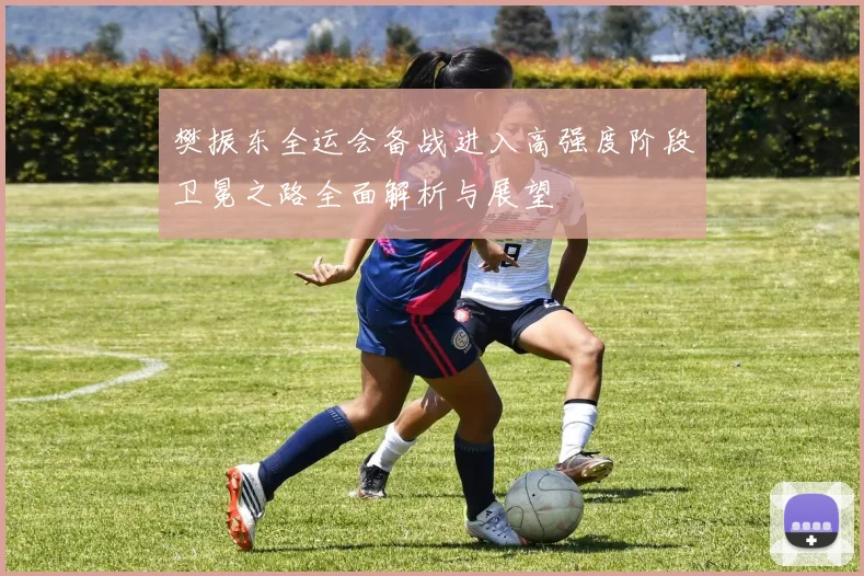 樊振东全运会备战进入高强度阶段卫冕之路全面解析与展望